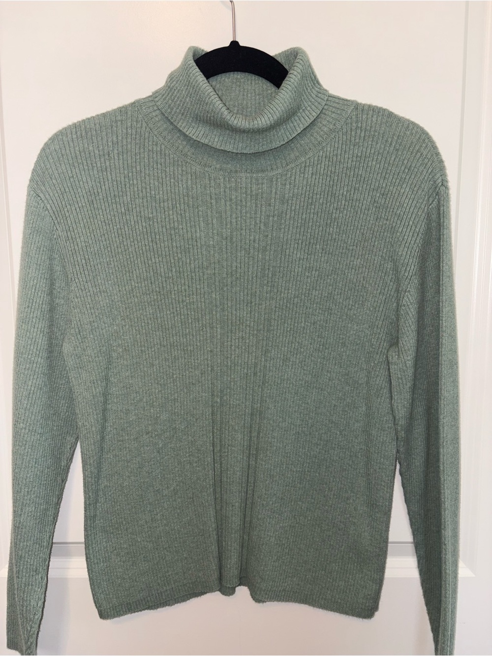 Liz Claiborne Men's Sage Green Turtleneck Sweater